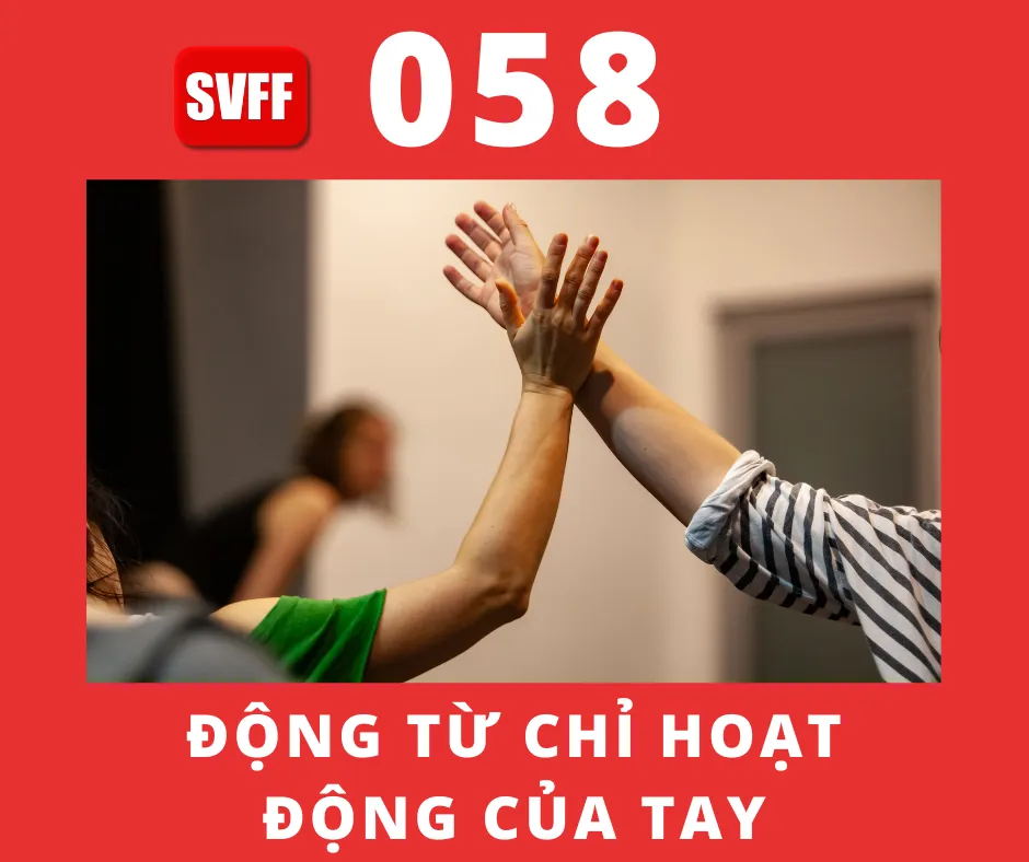 ĐỘNG TỪ CHỈ HOẠT ĐỘNG CỦA TAY